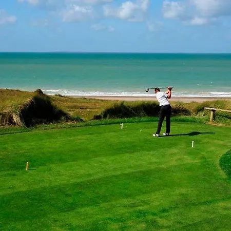 Duplex Terrasse Garage Apartment *