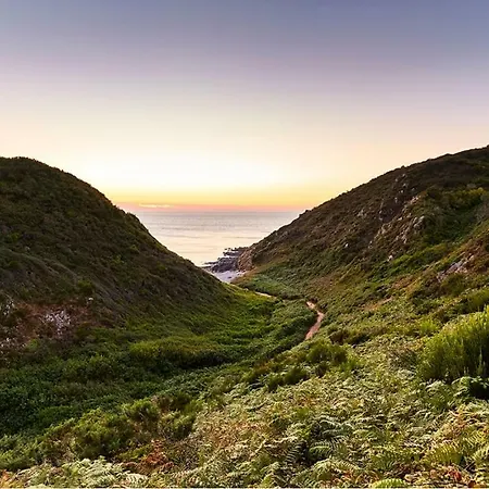 Duplex Terrasse Garage